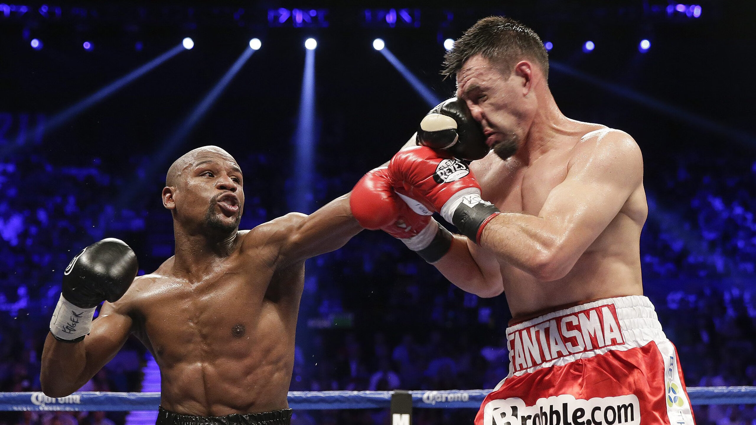 体育赛事年度数据统计